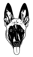 Load image into Gallery viewer, Custom Design
