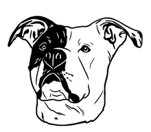 Load image into Gallery viewer, Custom Design
